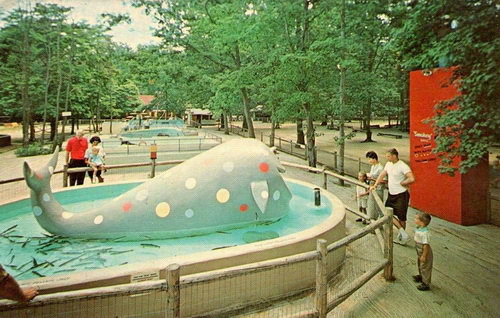 Deer Forest - Old Postcard (newer photo)